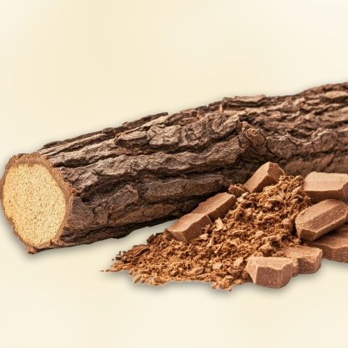 The Best Aphrodisiac Might Not Be What You Expect