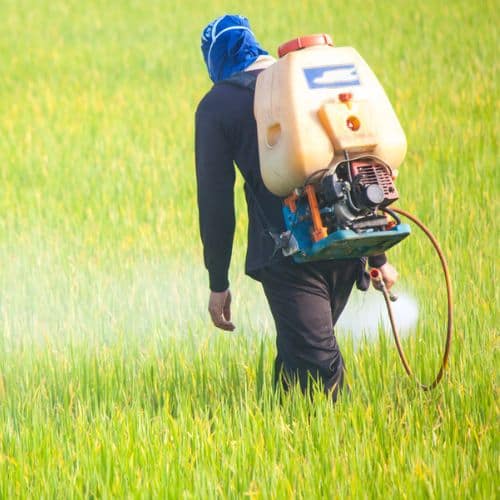 Common Pesticides and Male Fertility: Understanding the Impact on Sperm Health