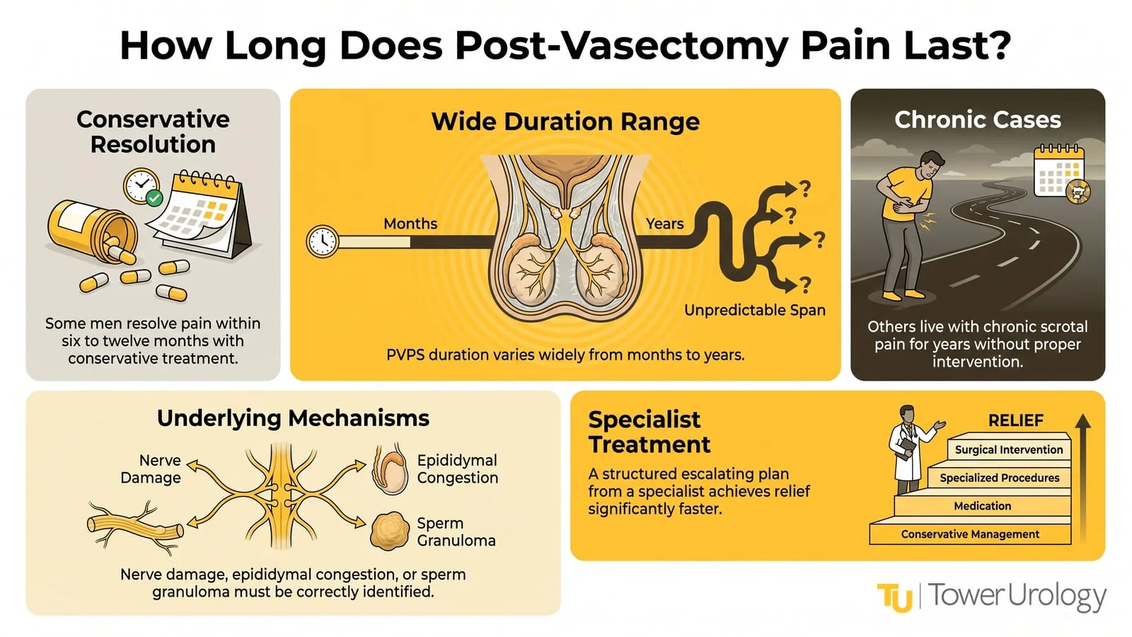Post-Vasectomy Pain Syndrome: Your Treatment Roadmap | Tower Urology — infographic